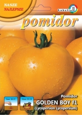 Pomidor GOLDEN BOY f1